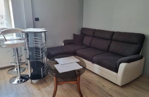 Zarasai Apartment | Pas Romaną