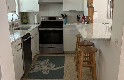 Pass-a-Grille Condo | Pass A Grille Beach. Second house from secluded beach. One story, pool.