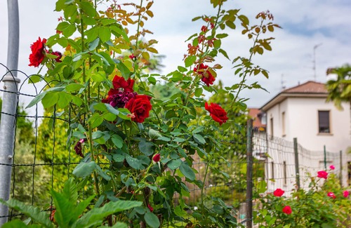 Gallarate House | Pasta Residence-Family apartment ideal for Malpensa or long stays