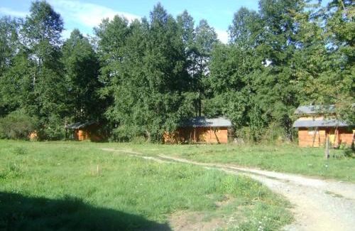 Neltume Cabin | Patagonia Mawida