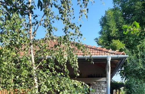 Tapolca Apartment | Patak Apartman, Diszel