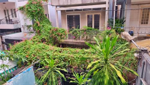 Bui Thi Xuan House | Paulatim House Saigon