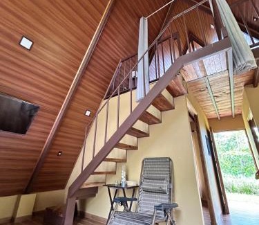 Baru House | Pavón dorado