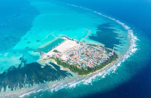 Gaafaru House | Pavona Maldives