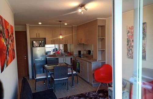 Pucon Apartment | Payllahue 301 Pucon