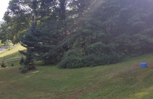 Uhrichsville House | Peace and tranquilty await you at The Buck Shack