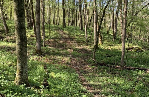 Waterville House | Peacefield: a serene retreat in Northeast Iowa with boundless adventure.