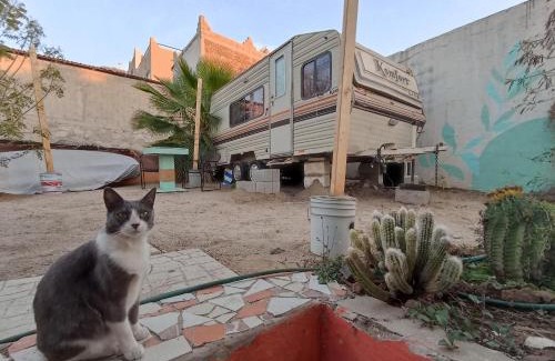 Los Cabos Apartment | Peaceful and Cozy Camper in the City Center with Private Patio