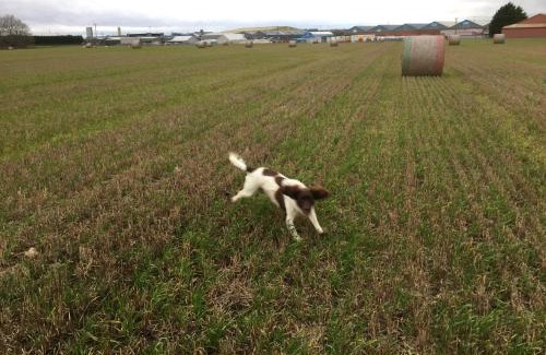 Bridlington House | Peaceful Dog Friendly Cottage near Bridlington