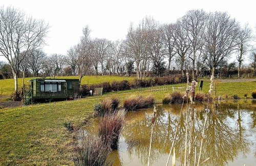 Hadlow Down Apartment | Peaceful en-suite cabin all mod cons. Close to and overlooking our fishing lake.
