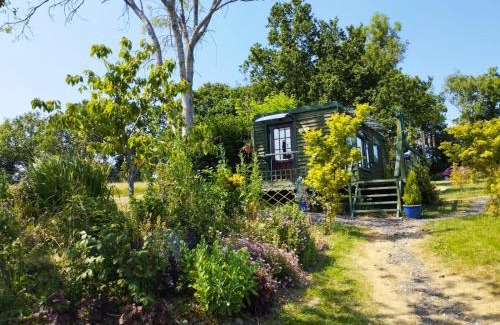 Hadlow Down House | Peaceful ensuite lakeside cabin 'Tench'