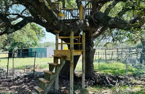 Williamson County House | Peaceful Getaway - Pool + Animals - Boats for Rent