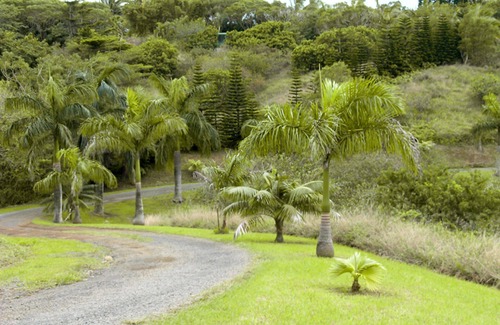 Pauwela Apartment | Peaceful & Private Studio - 12 Acre Hobby Organic Fruit Farm - Beach 10min