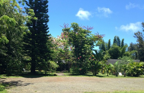 Pauwela Apartment | Peaceful & Private Studio - 12 Acre Hobby Organic Fruit Farm - Beach 10min