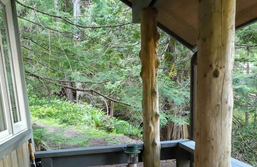 Whaletown Cabin | Peaceful rustic waterfront cabin