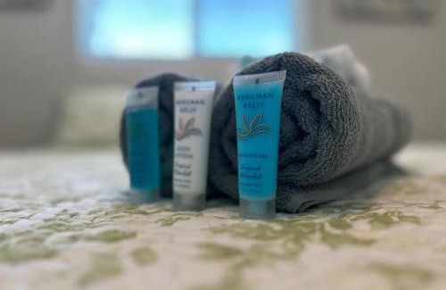 Sarasota Springs House | Peaceful Sarasota Retreat Rm 3