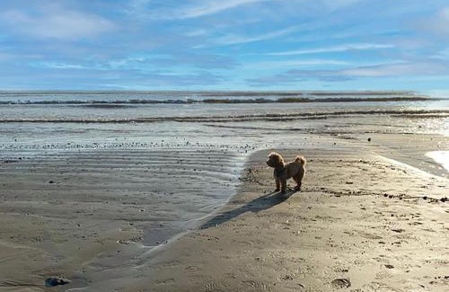 Middleton-on-Sea House | Pebble Cottage