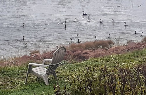 Cardigan Apartment | PEI Waterside Apt. #1 Waterfront Apt, saltwater beach, view of Cardigan Marina,