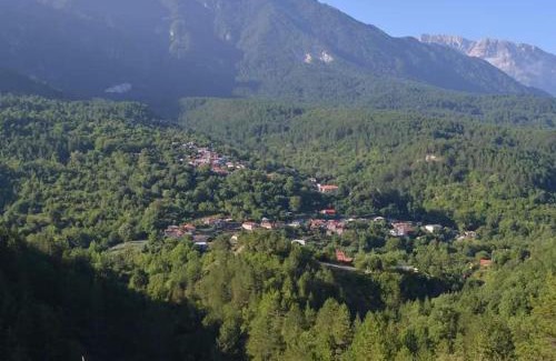 Konitsa House | Peklaritiko Steki