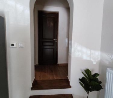 Portaria Apartment | Pelion bee guesthouse