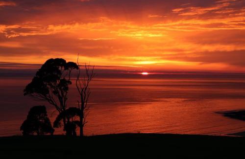 Central Coast Council House | Penguin Seaside Farm