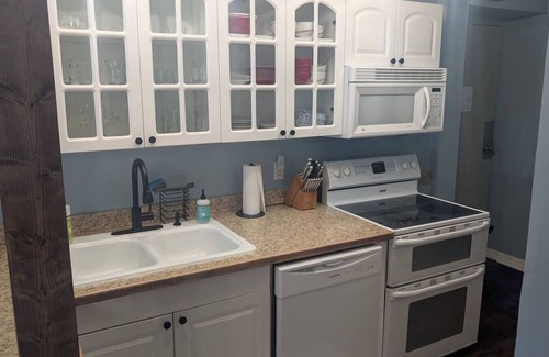 Montague Apartment | Peninsula Point - Cozy Lakefront Condo 1BR, 1BA