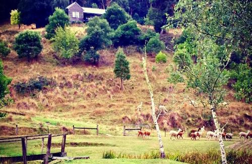 Pennyroyal House | Pennyroyal Otways Retreat