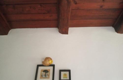 Kasperske Hory House | Pension Červená