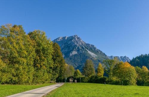 Scheffau am Wilden Kaiser House | Pension Blaiken XL