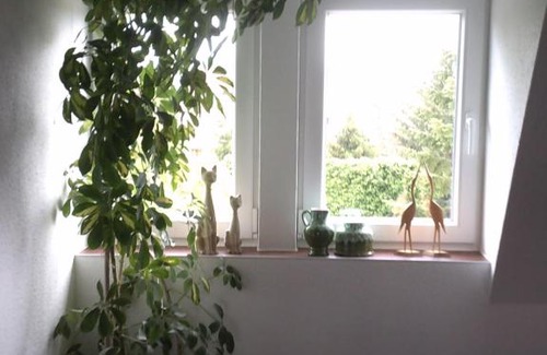 Schonebeck Bed & Breakfast | Pension-Nussbaum