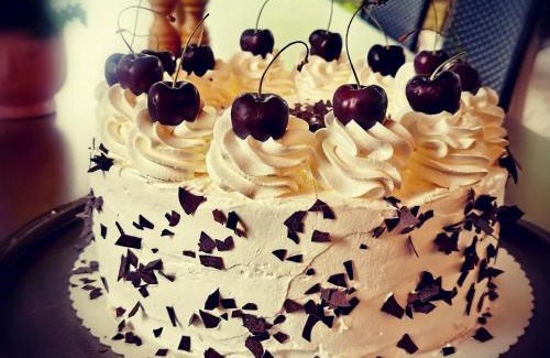 Treis-Karden Hotel | Pension Restaurant Luna