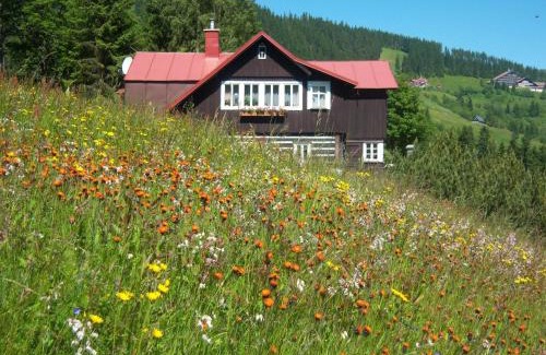 Pec pod Snezkou Hotel | Pension Skalicky