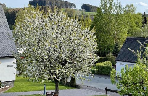 Hildfeld House | Pension Sonnenheim