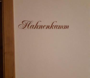 Reith bei Kitzbuehel House | Pension Thainerhof
