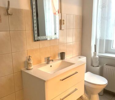 Frantiskovy Lazne House | Pension VIDHOUS 1