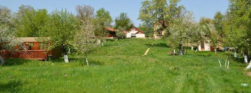 Sarmizegetusa House | Pension Zamolxe