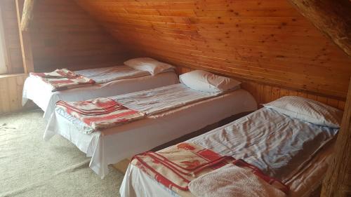 Sarmizegetusa House | Pension Zamolxe