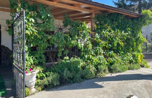 Axente Sever Apartment | Pensiune cu restaurant