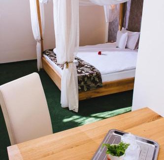 Sighetu Marmatiei Bed & Breakfast | Pensiune Restaurant Flamingo