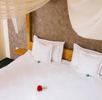 Sighetu Marmatiei Bed & Breakfast | Pensiune Restaurant Flamingo