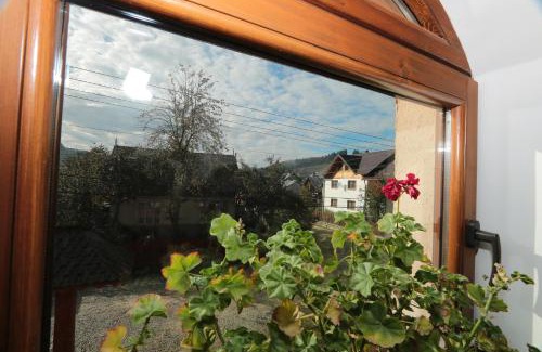 Moldovita House | Pensiunea Agroturistica Stefan Viorica