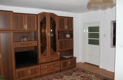 Vatra Dornei House | Pensiunea Alecsandra