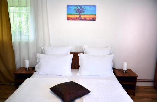 Hateg House | Pensiunea Anita