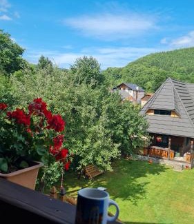Vadu Izei House | Pensiunea Ardelean