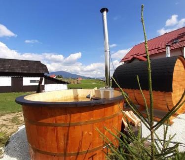 Dorna Candrenilor House | Pensiunea Crinul Bucovinei
