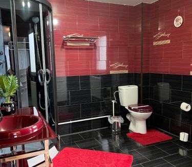 Dorna Candrenilor House | Pensiunea Crinul Bucovinei