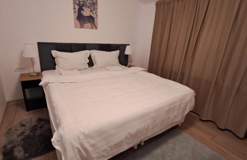 Afumati House | Pensiunea Cris-Andre