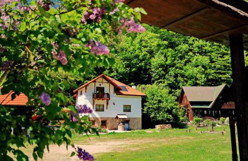 Bosorod House | Pensiunea Dacica