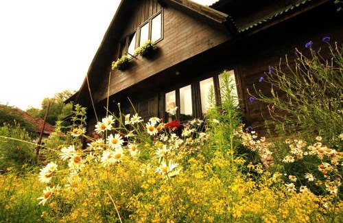 Bosorod House | Pensiunea Dacica