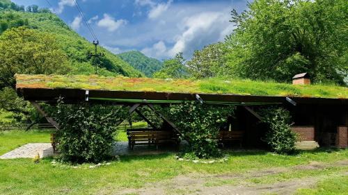 Bosorod House | Pensiunea Dacica